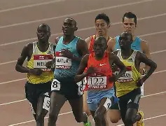 ac米兰官方网站-“国际田径挑战赛：选手们再创个人最佳！”的简单介绍