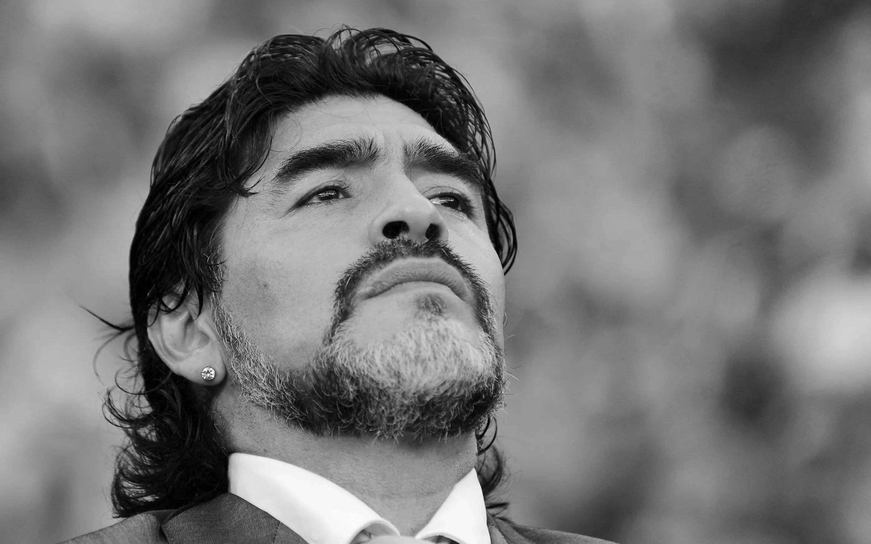 关于贝利vs马拉多纳:永恒的球王之争的信息 关于贝利vs马拉多纳:永恒的球王之争的信息