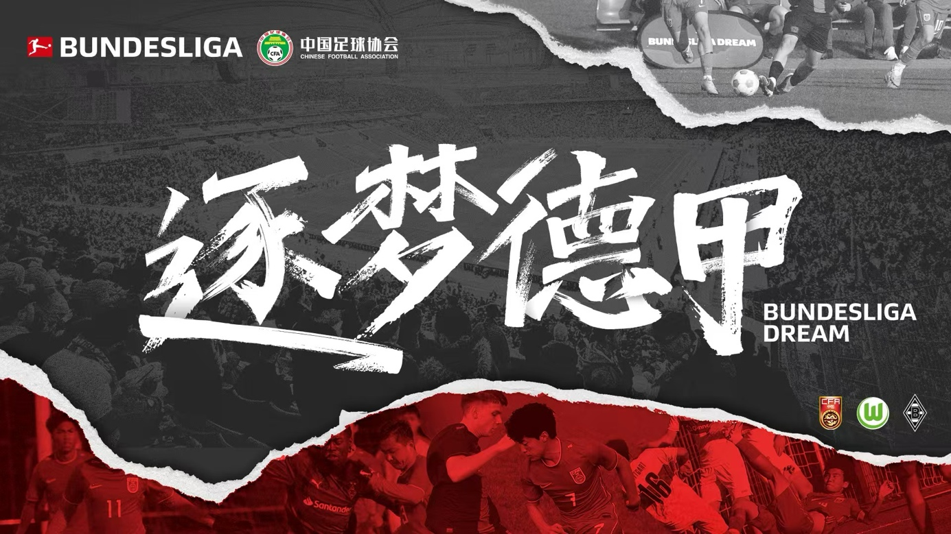 -“德甲的外援政策：如何提升球队的整体实力？”的简单介绍